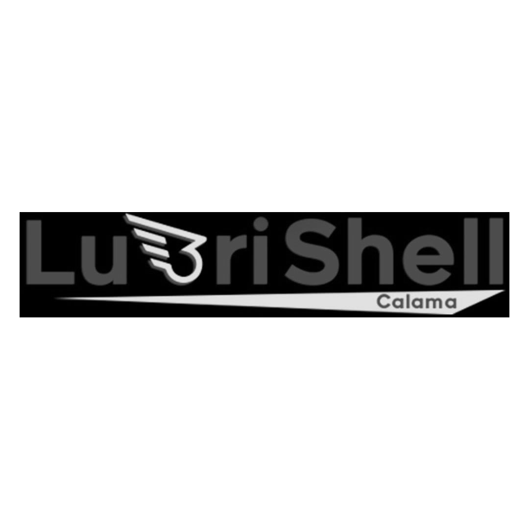 Sociedad Comercial y Servicios Lubrishell Ltda.