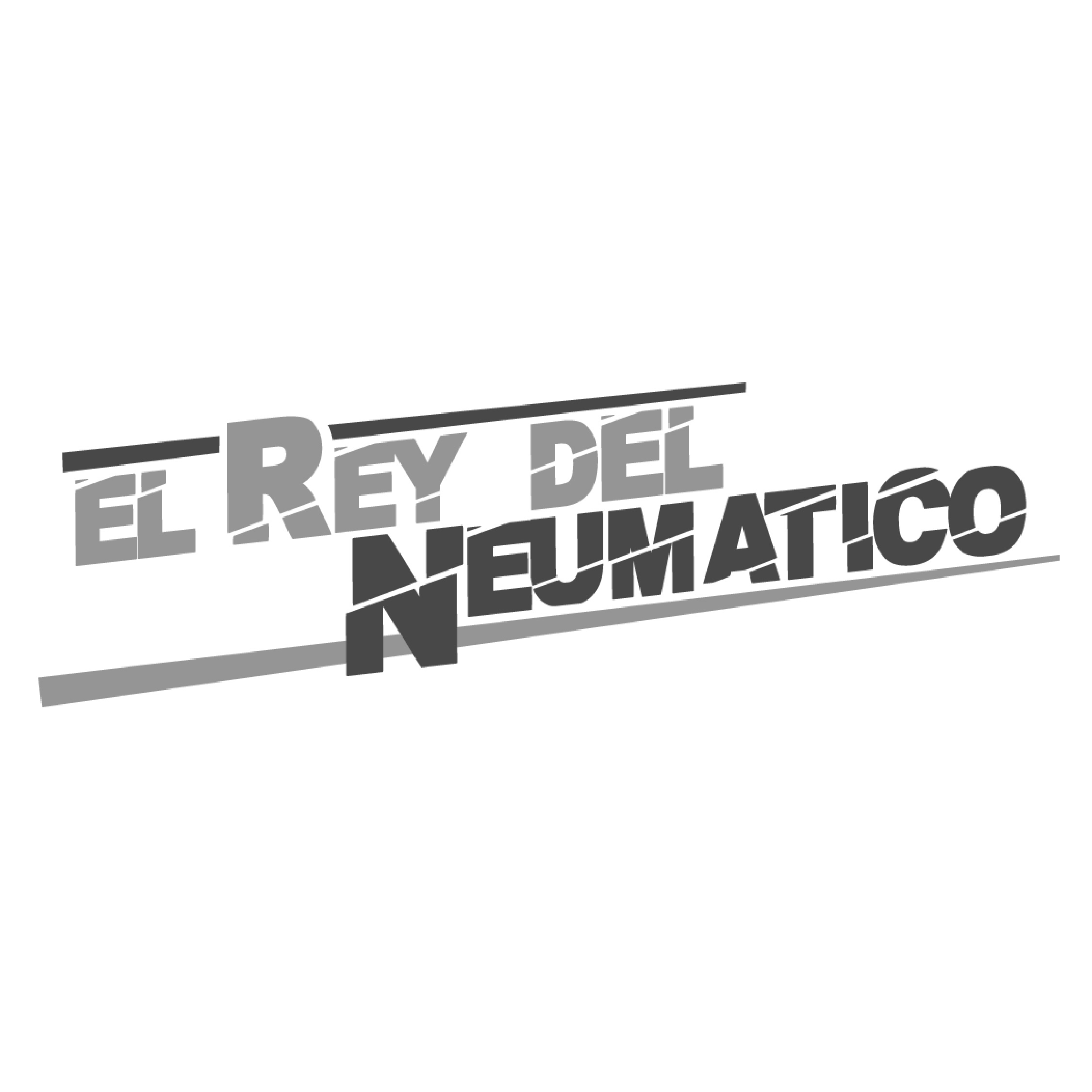 El Rey del Neumático SpA.